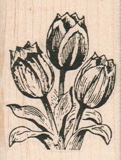 Tulip Trio 1 3/4 x 2 1/4-0