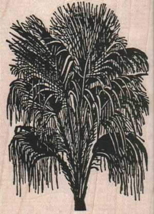 Palm Tree 2 1/2 x 3 1/4-0