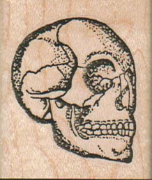 Skull 1 1/2 x 1 3/4-0