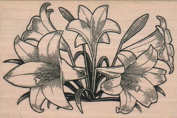 Easter Lilies 3 1/4 x 4 1/2-0