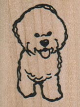 Bichon Front 1 1/4 x 1 1/2-0