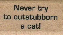 Never Try To Outstubborn A Cat 1 x 1 1/2-0