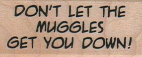 Don't Let The Muggles 1 x 2-0