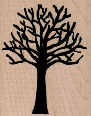 Naked Tree/Large 2 1/2 x 3-0