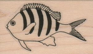 Striped Fish 1 1/4 x 1 3/4-0