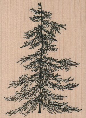 Fir Tree/Large 3 1/4 x 4 1/4-0