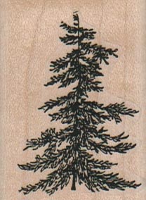 Fir Tree/Small 1 1/2 x 2-0