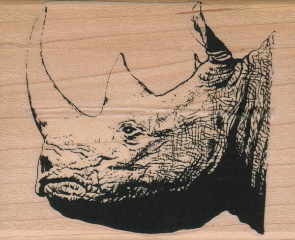 Rhino Head 2 1/2 x 3-0