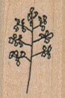 Branch With Stems And Leaves 3/4 x 1-0