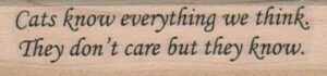 Cats Know Everything 3/4 x 2 1/2-0