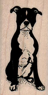 Boston Terrier Sitting 1 1/4 x 2 1/4-0