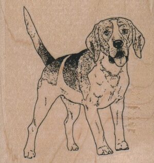 Beagle Panting 2 1/4 x 2 1/4-0