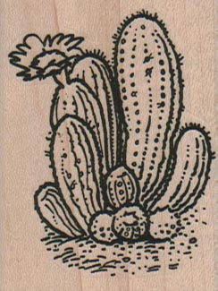 Cactus Blooming 1 3/4 x 2 1/4-0