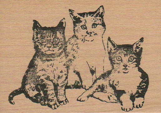 Kitty Trio 2 1/2 x 3 1/2-0