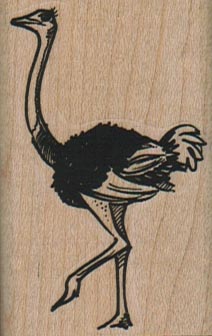 Ostrich Walking 1 1/2 x 2 1/4-0