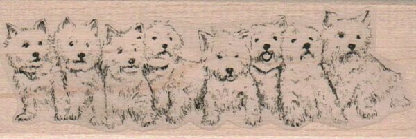 Eight Westies In A Row 1 3/4 x 4 3/4-0