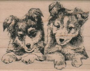 Sheltie Duo 2 1/2 x 3-0