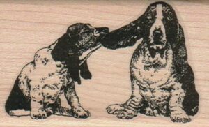 Ear Pull Basset Hounds 2 x 3 1/4-0