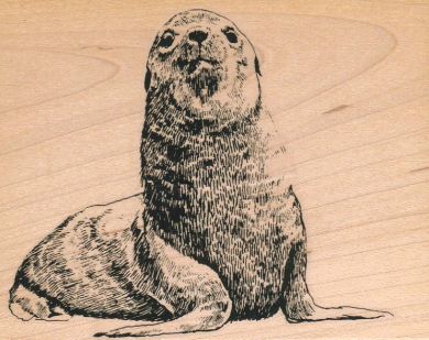 Approving Seal 3 1/2 x 4 1/4-0
