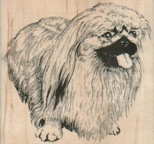 Panting Pekingese 3 1/4 x 3-0