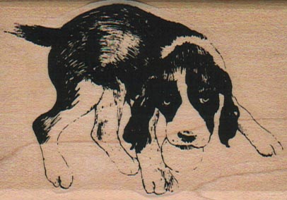 Black and White Pooch 2 x 2 3/4-0