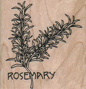 Rosemary Plant 2 x 2-0