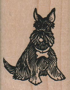 Sitting Scottish Terrier With Bone Collar 1 3/4 x 2 1/4-0