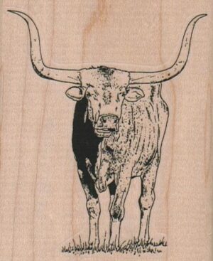 LongHorn Steer 2 1/2 x 3-0