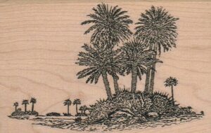 Palm Island And Water 3 1/4 x 5-0