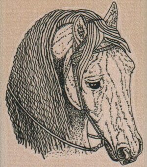 Horse Head 2 1/2 x 2 3/4-0