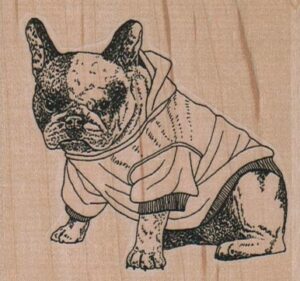 BullDog In Hooded Jacket 2 3/4 x 2 1/2-0