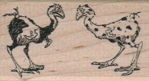 Two Scraggly Chickens 1 3/4 x 3-0