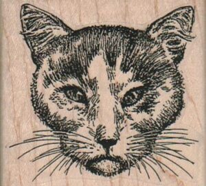 Cat Face 2 1/2 x 2 1/4-0