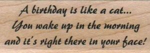 A Birthday Is Like A Cat 1 x 2 1/2-0