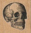 Skull 1 x 1-0