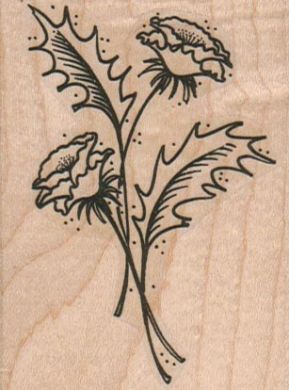 Flowers And Leaves 2 1/4 x 3-0