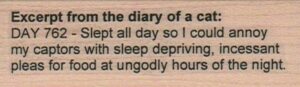 Excerpt From The Diary Day 762 1 x 3-0