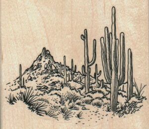Saquaro Cactus Scene 3 3/4 x 3 1/4-0