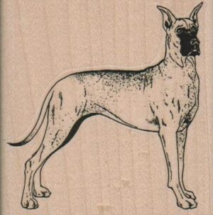 Great Dane Dog 2 1/2 x 2 1/2-0