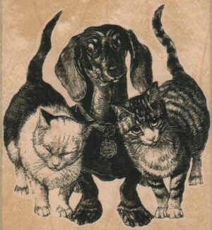 Dachshund And Two Cats 4 x 4 1/4-0