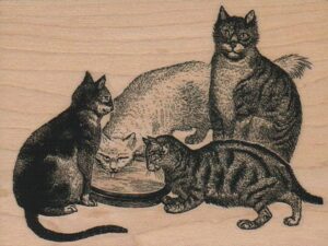 Four Cats 3 1/2 x 4 1/2-0