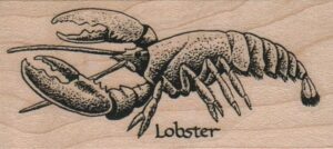 Lobster 1 1/4 x 2 1/4-0