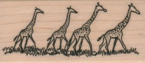 Giraffe Quartet 1 1/2 x 3-0