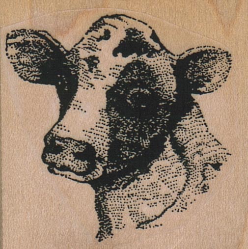 Cow In Your Face 1 3/4 x 1 3/4-0