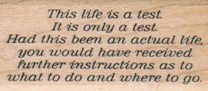 This Life Is A Test 1 1/4 x 2 1/2-0