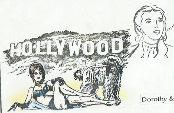 Hollywood 3 1/2 x 6 3/4-35100