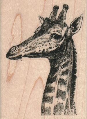 Giraffe Head 2 1/4 x 3-0