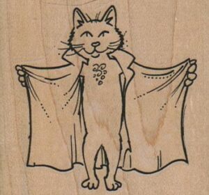 Cat Flasher 2 1/2 x 2 1/4-0