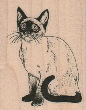 Siamese Cat 2 1/4 x 2 3/4-0