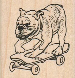 BullDog On Skateboard 2 1/4 x 2 1/4-0